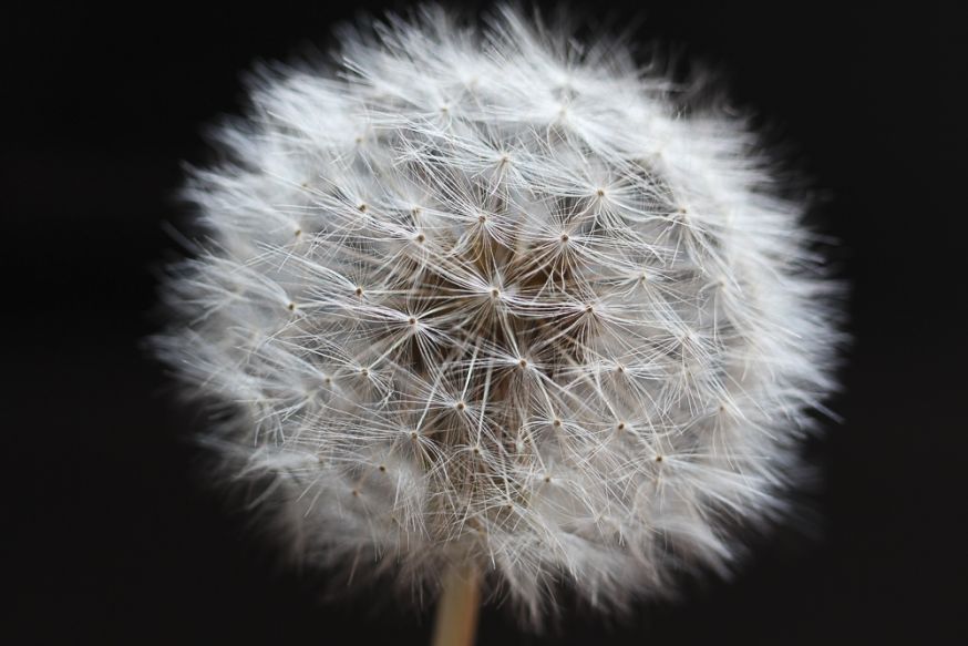 Waarom extension tube niet scherpstelt