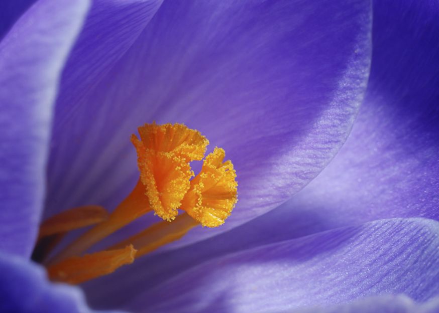 Waarom extension tube niet scherpstelt