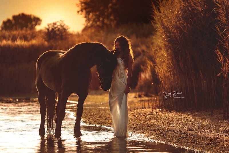 fotofair 2021, Fotofair, masterclass paardenfotografie, Masterclass, paardenfotografie, paarden, fotograferen, leren