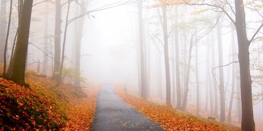 digifoto Starter, magazine, lezersfoto, gallery, herfstfoto, publicatie, herfst