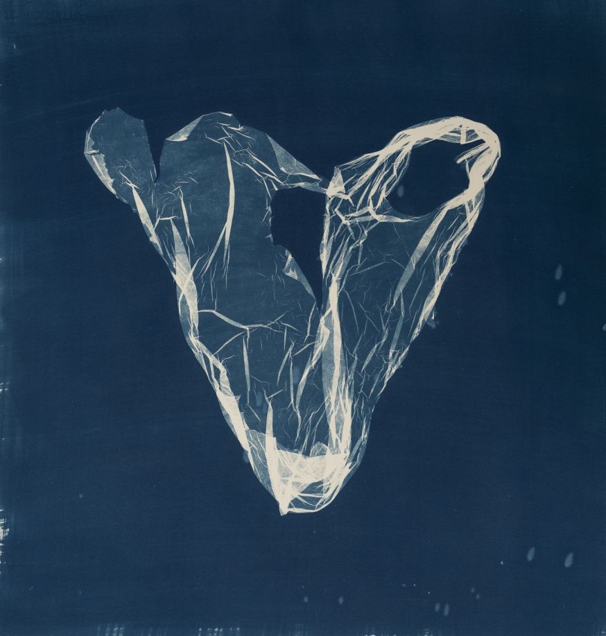 Suzette Bousema, Future Relics 40, 2025 © Suzette Bousema 