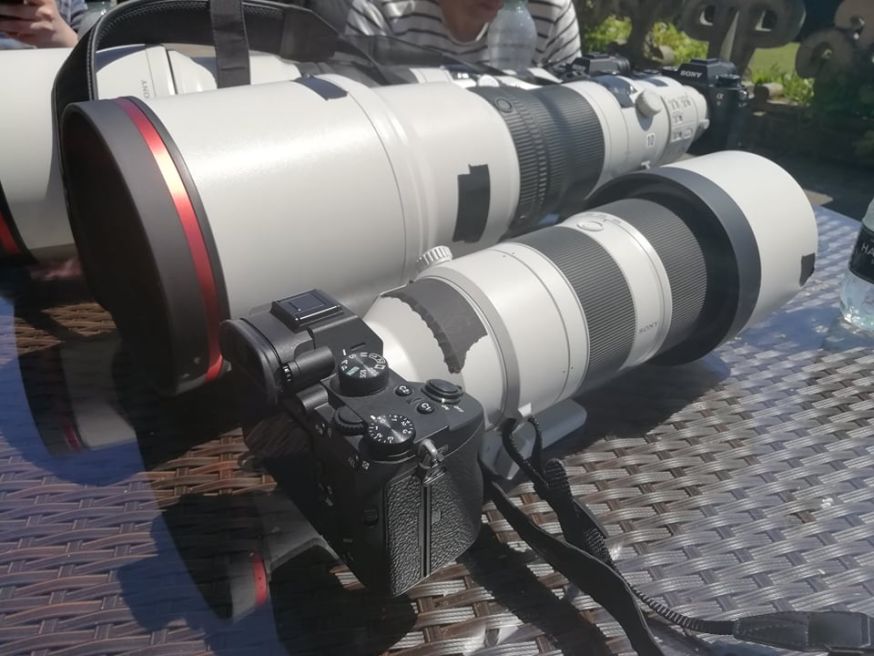 sony 200-600mm f/5.6-6.3 G OSS en 600mm f/4 GM OSS
