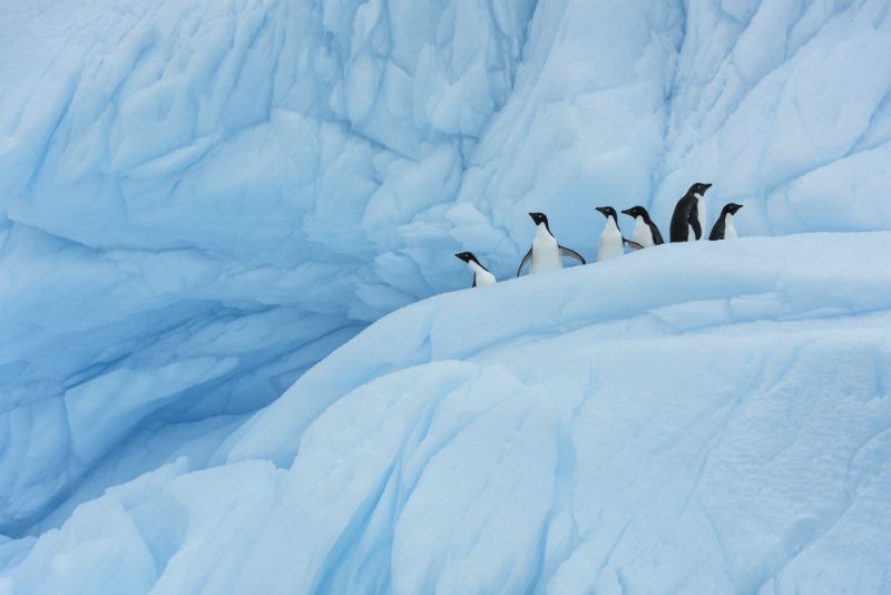  Starter, lezersfoto, DIGIFOTO Starter 4.2018, uitgelicht, gallery, wildlife, wildlife fotograferen, wildlife photographer of the year award 2018