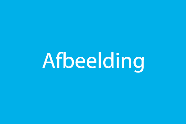 afbeelding voorbeeld