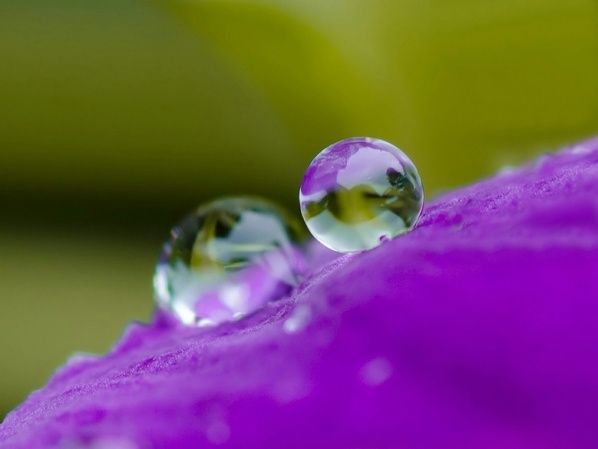 Foto © Beve - Waarzegsters bol