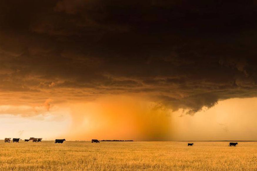 tornado
