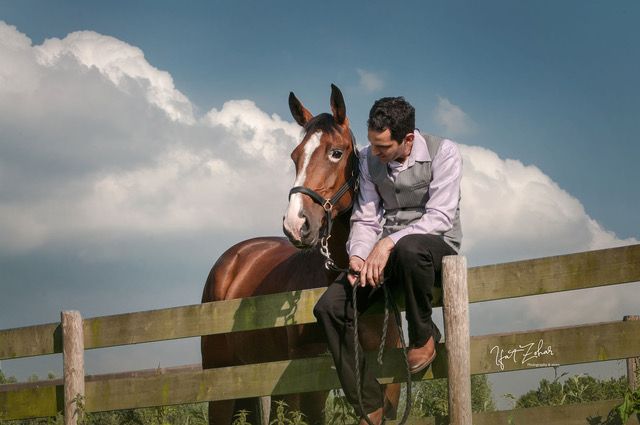 paarden fotografie