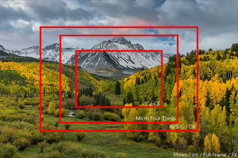 Crop factor