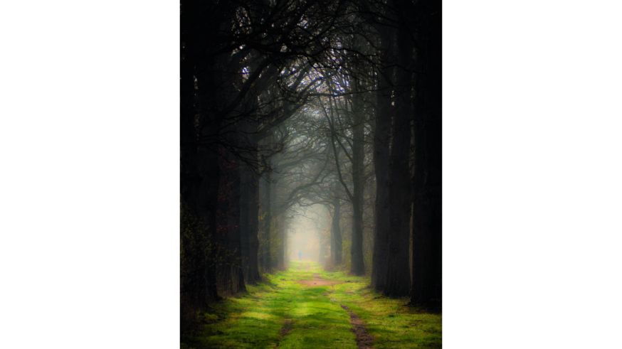  Starter, lezersfoto, DIGIFOTO Starter 4.2018, uitgelicht, gallery
