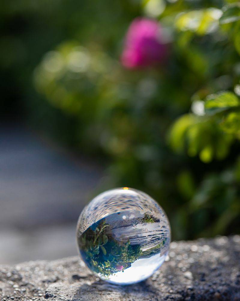 lensbal bloem steen