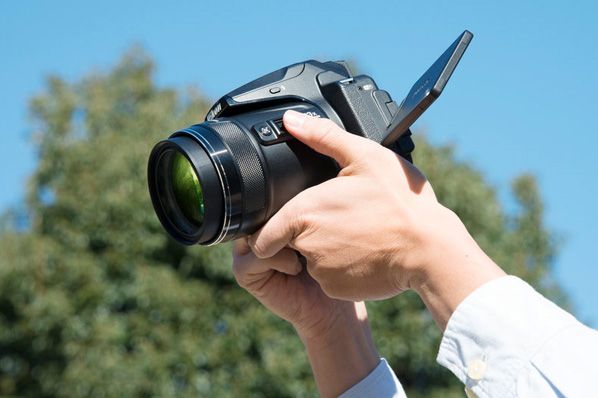 Nikon Coolpix P900 scherm