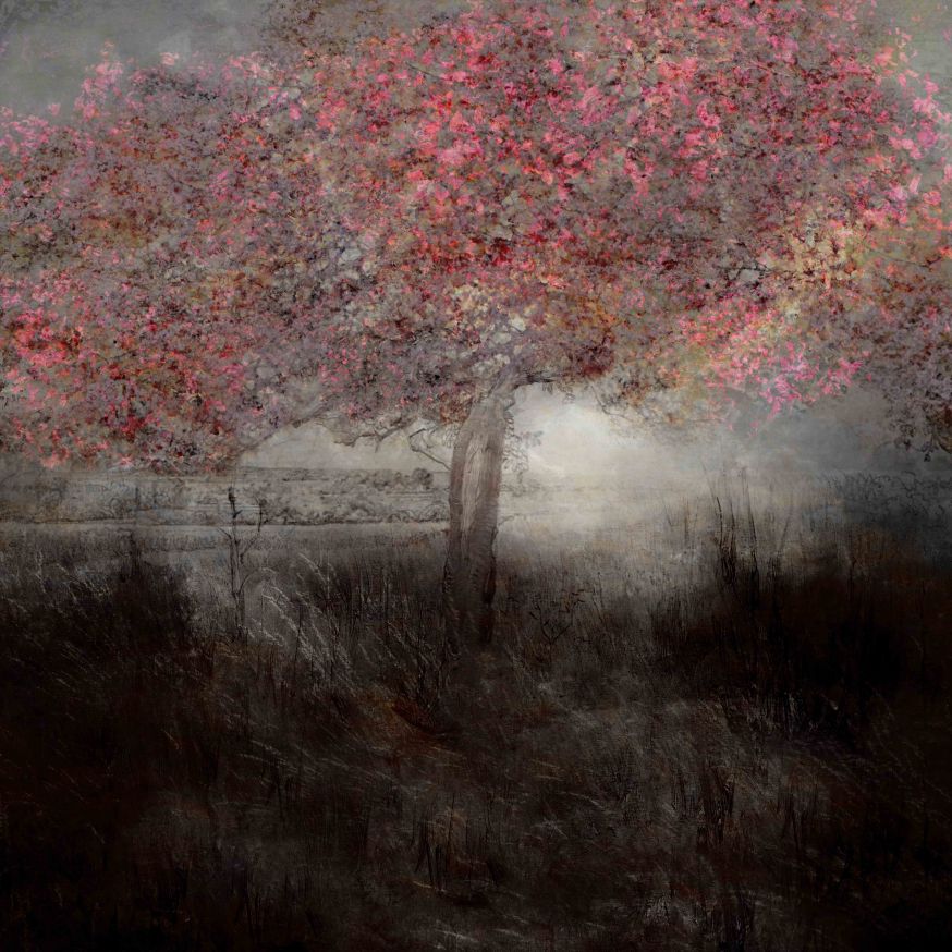 Saskia Boelsums - Landscape #109 - Courtesy Eduard Planting Gallery
