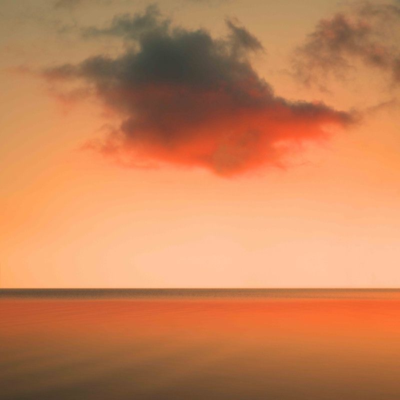  'Landscapes' 