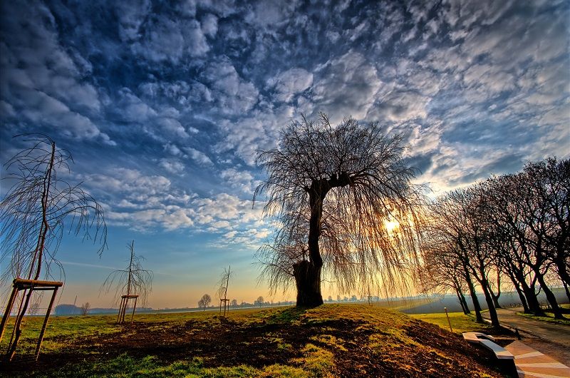 natuur