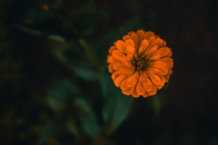 leren kijken als fotograaf