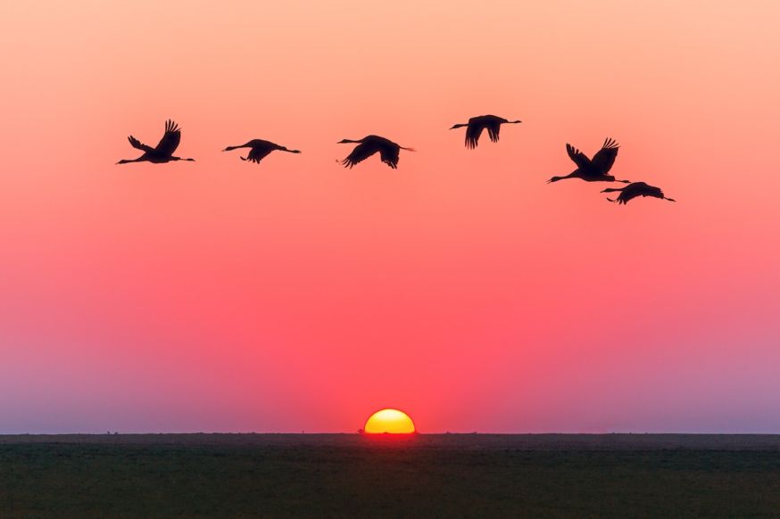 tips voor beginnende fotografen
