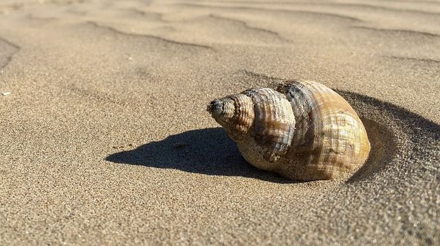 strandfoto's, strand, kust