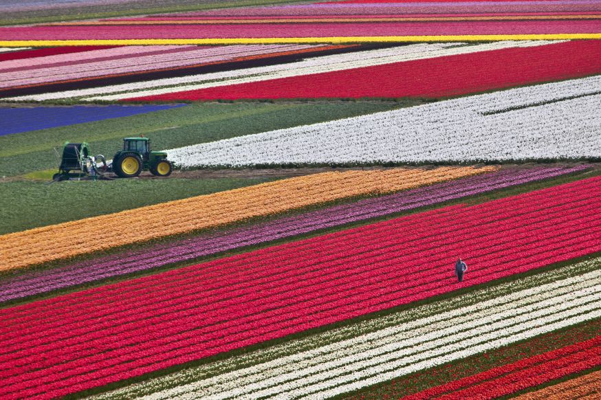 NL 365: het fotoboek over Nederland