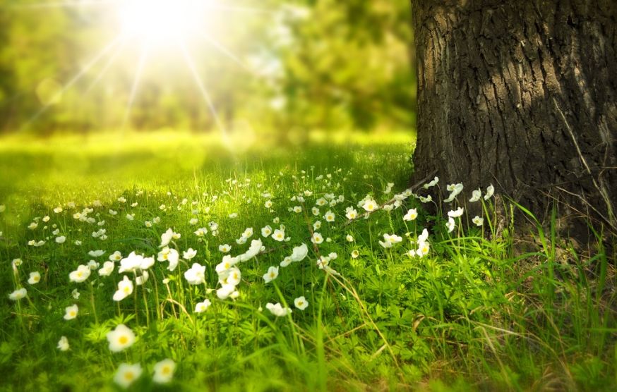 natuurfotografie, fouten in natuurfotografie, fotografie, natuur, tips, fotograferen in de natuur, fotograferen, buiten