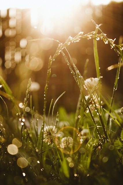 lensflare, lensflares