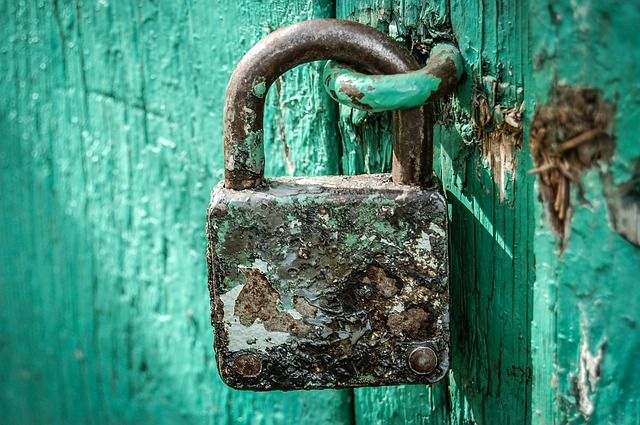 diefstal, stelen, onrechtmatig gebruik, online diefstal