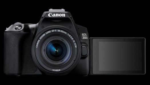 canon 250D