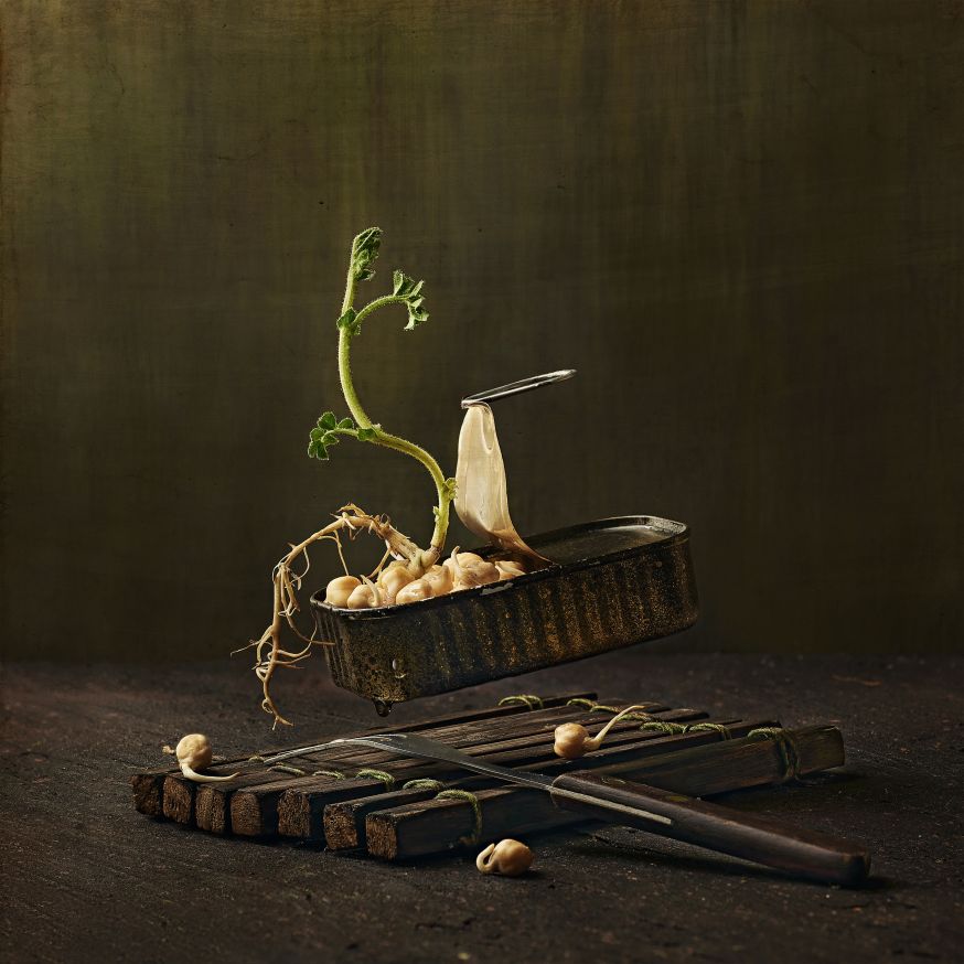 Wesley Dombrecht 