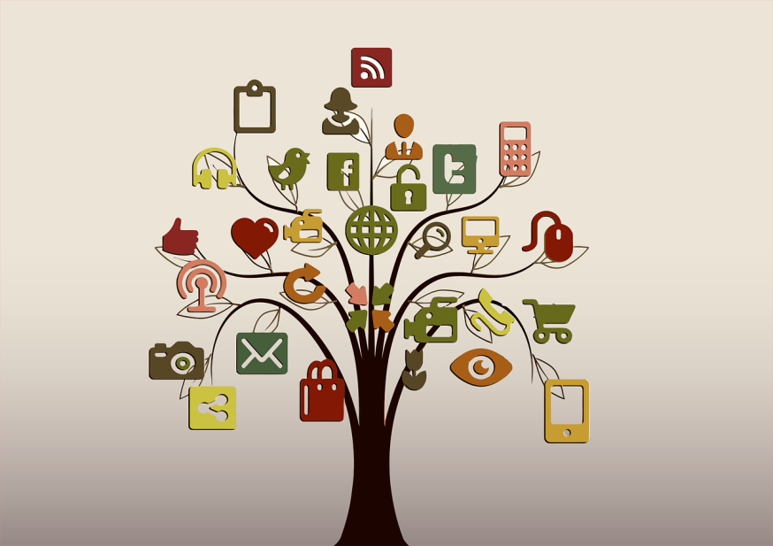 Social Media