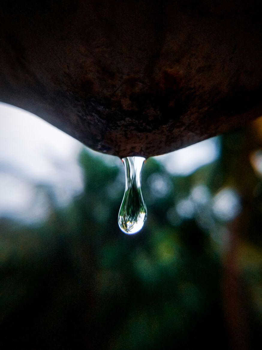 macrofotografie tips