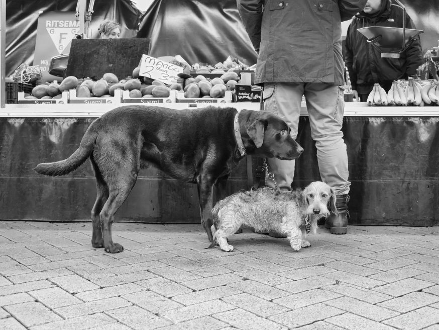 Straatfotografie 