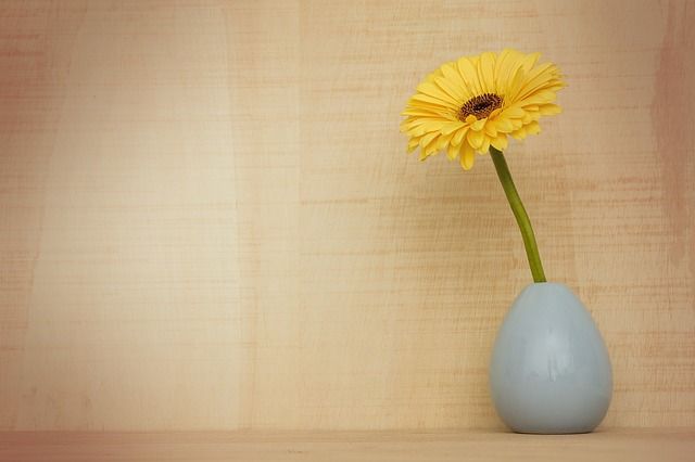 bloemen, bloemen fotograferen