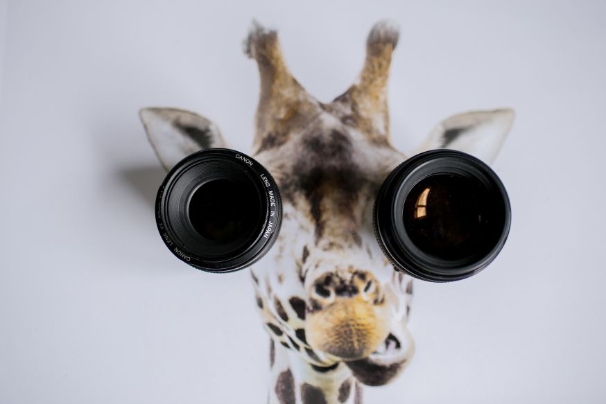 standaardlens, standaard objectief, nifty fifty, vaste brandpuntsafstand, 50mm