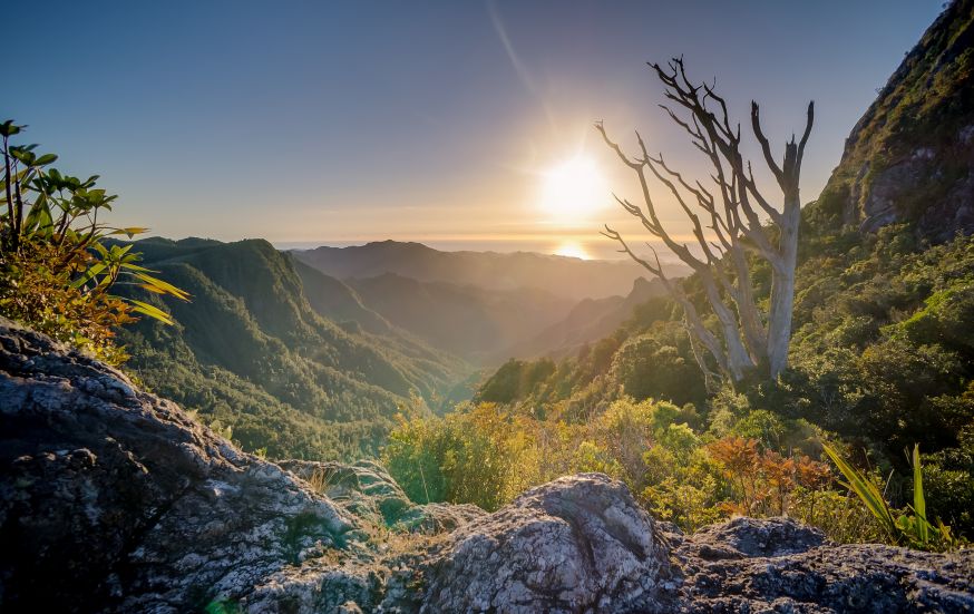 landschapsfotografie