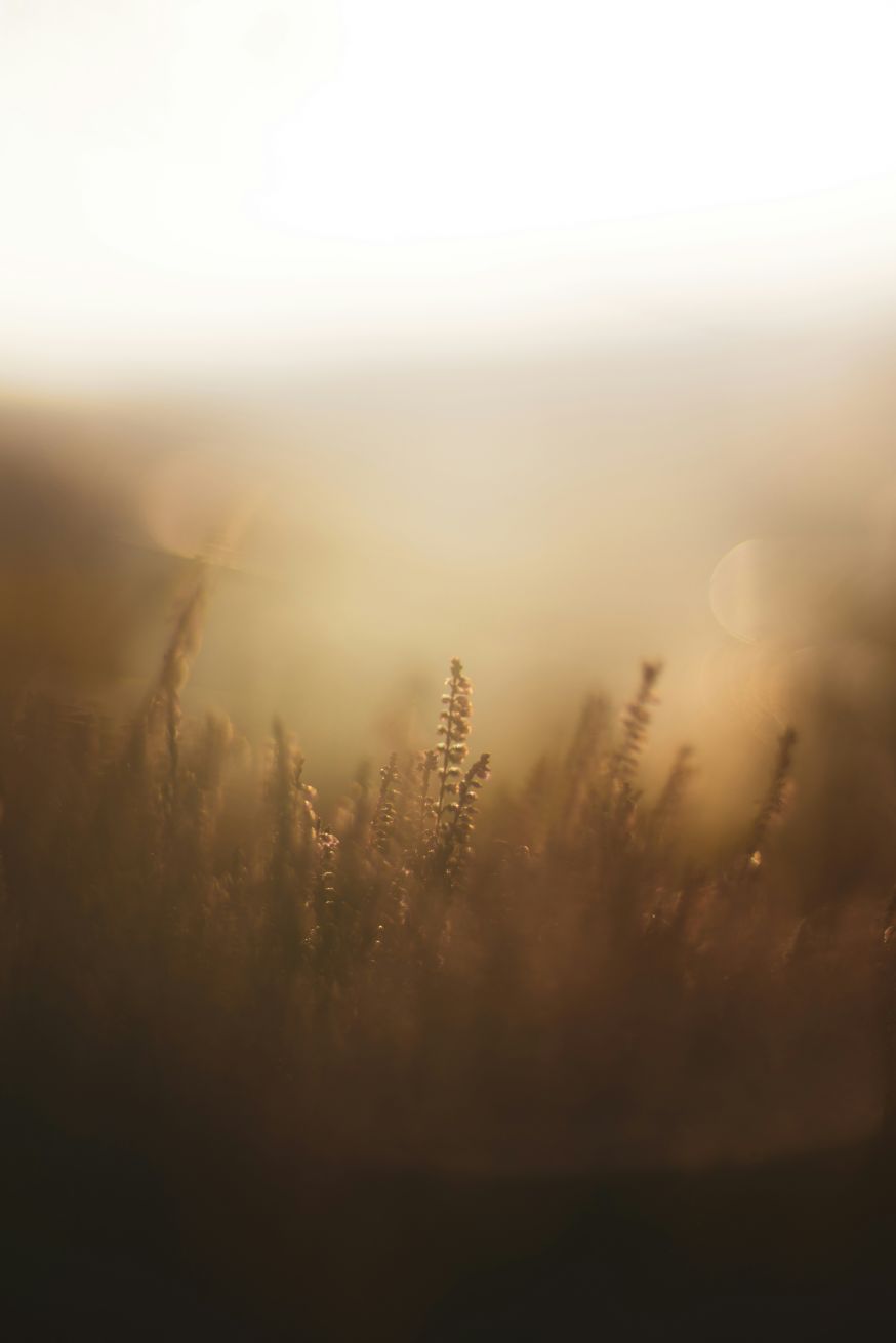 basis van fotografie