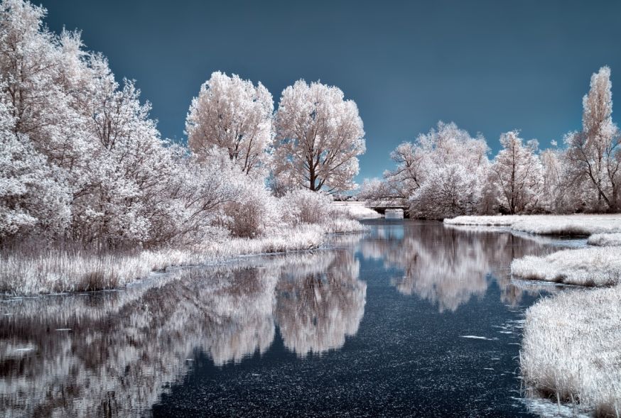 natuurgebied