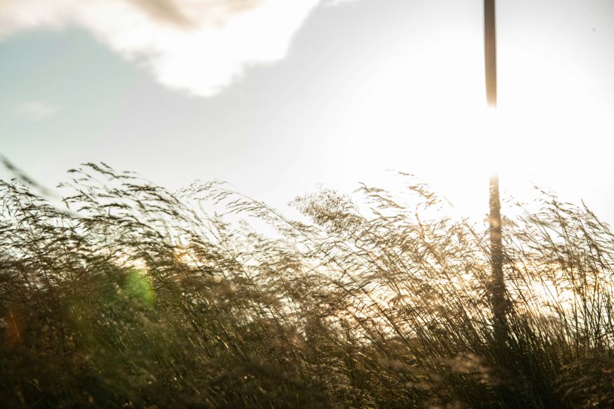 lichtgebruik in fotografie