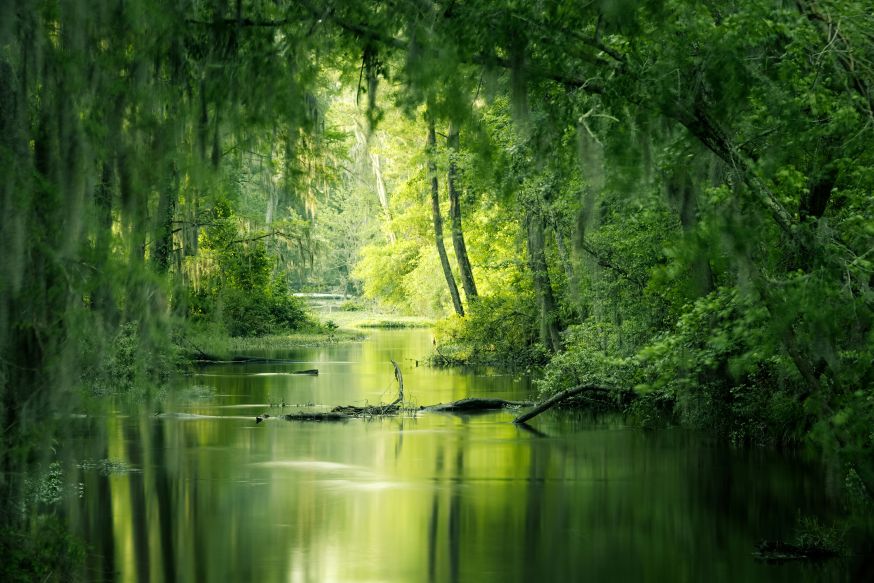 fotograferen in veranderend landschap