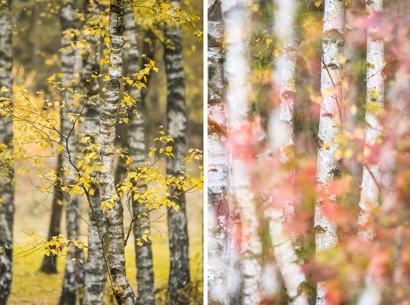 natuur fotografie
