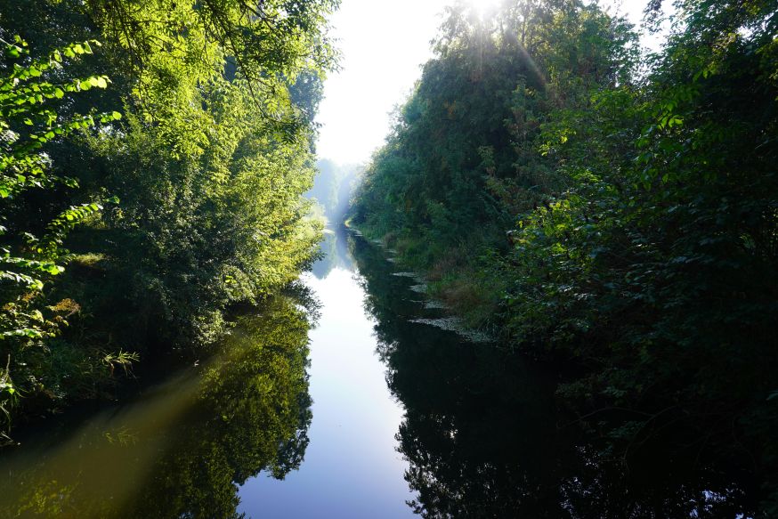 Białowieża natuurfotografie