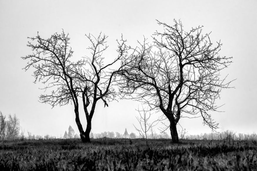 fotografie serie maken