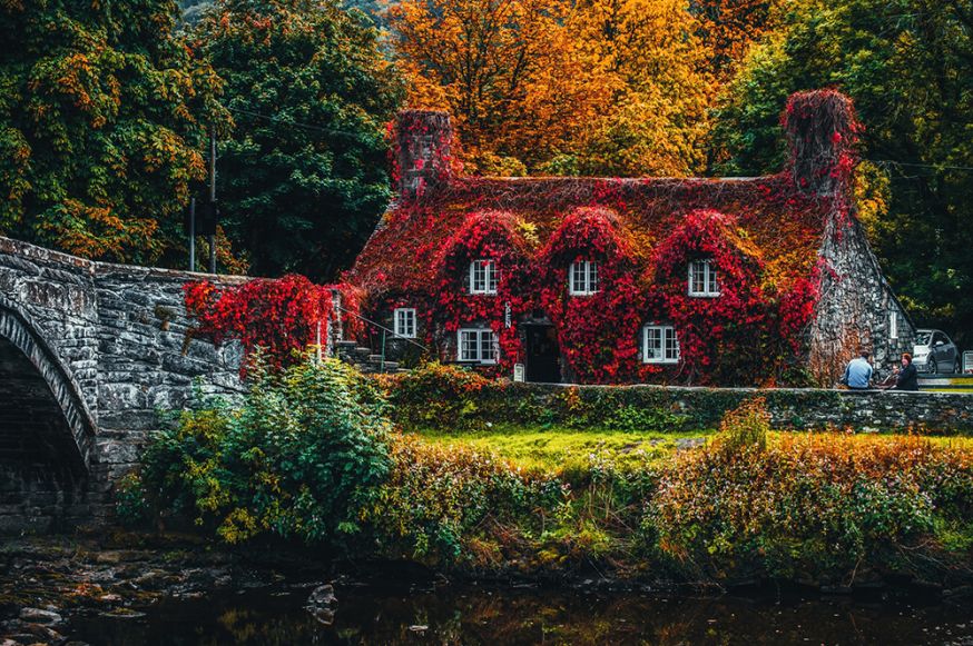 kleur zwartwit fotografie gedempt
