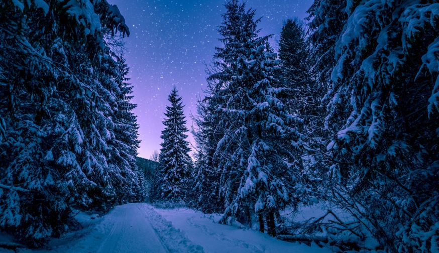 winterfoto publicatie lezersfoto