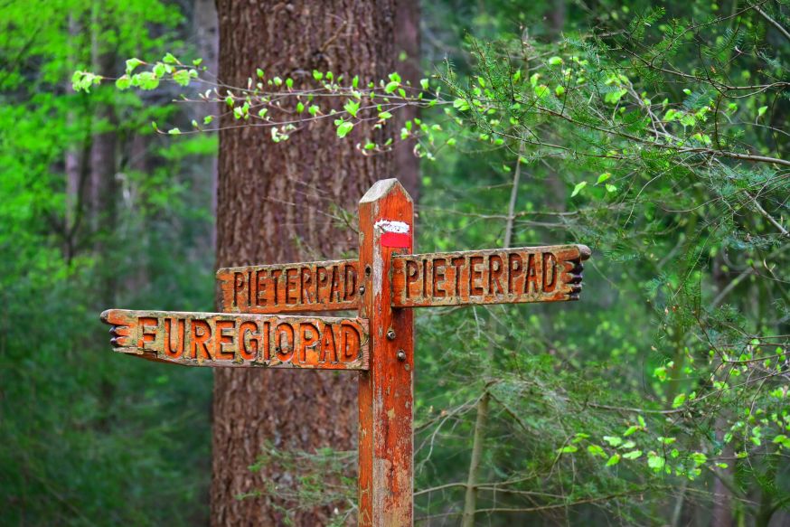fotograferen langs het Pieterpad