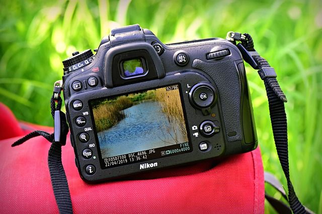 zoeker, viewfinder, lcd scherm, LiveView