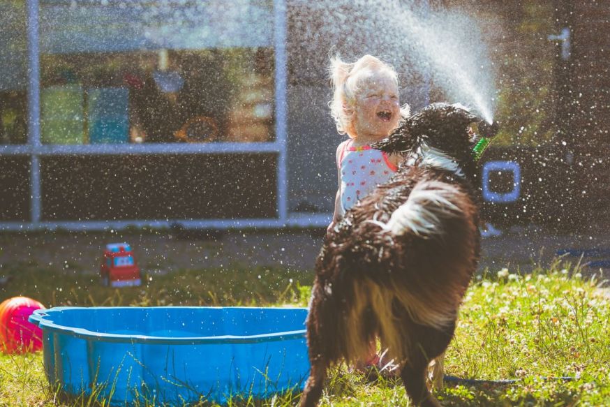 dierendag