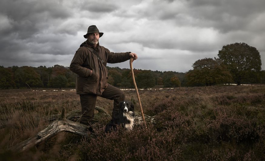 Schaapherders in Nederland