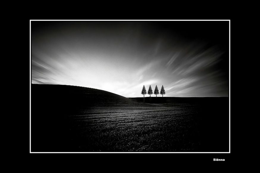 spotlight lezersfoto