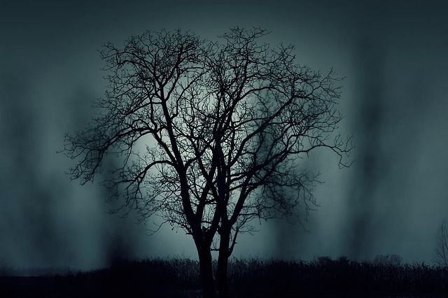 weinig licht, betere foto's bij weinig licht, tips
