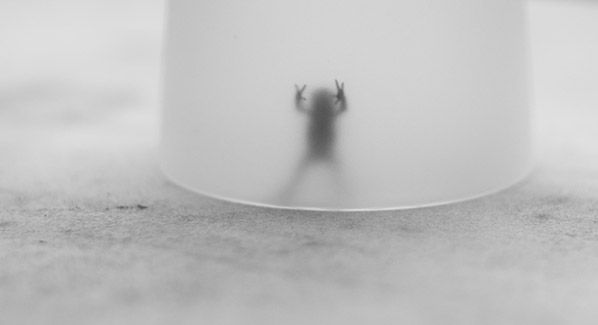 Foto: Vincent van Kooten
