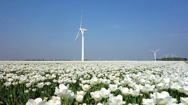 landschapsfotografie, fouten in landschapsfotografie